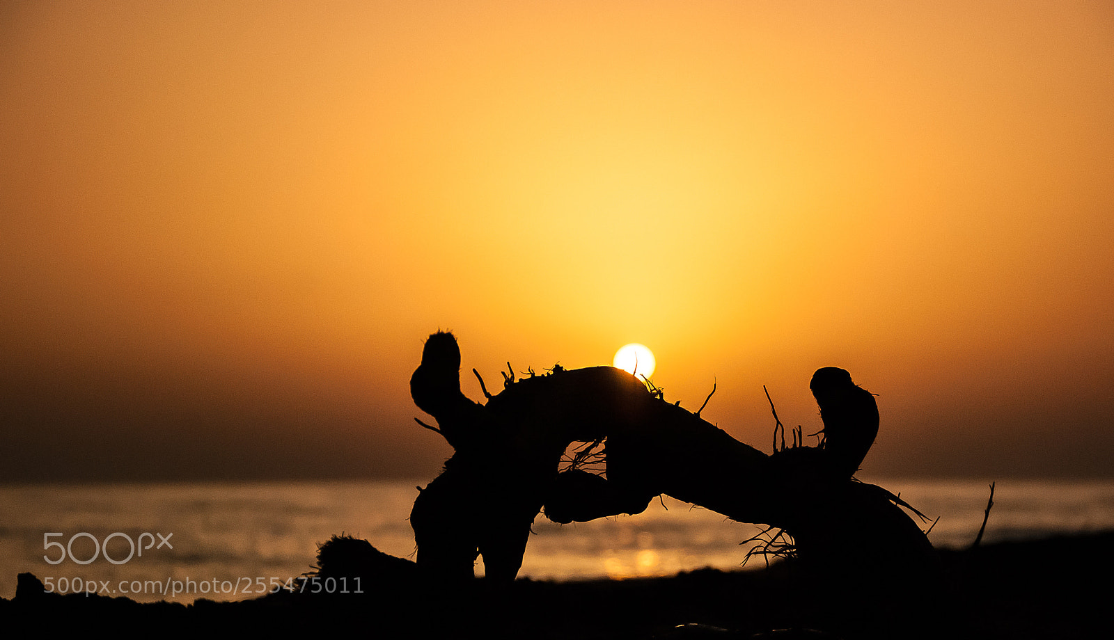 Nikon D80 sample photo. Kakovatos beach, peleponese, photography