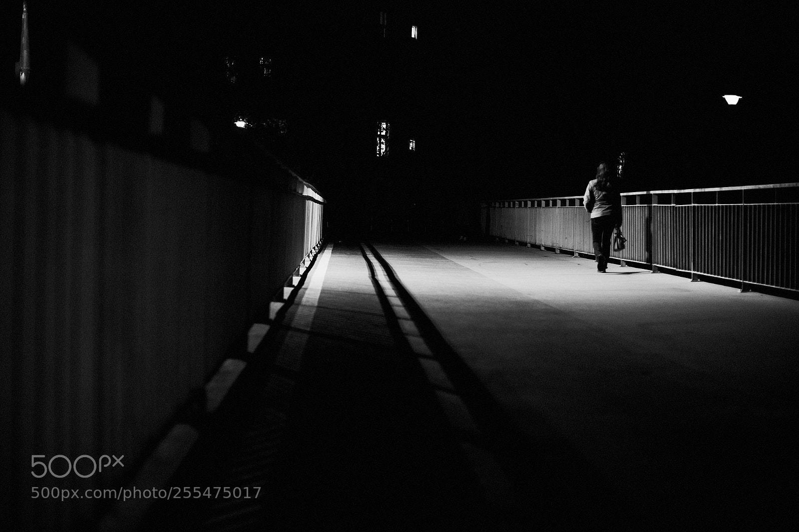 Canon EOS 6D Mark II sample photo. When everything is considered 233/365 photography