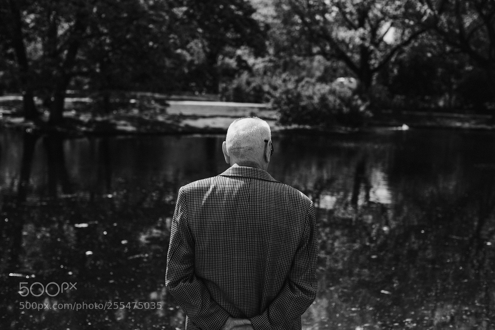 Canon EOS 6D Mark II sample photo. Grandfather 234/365 photography