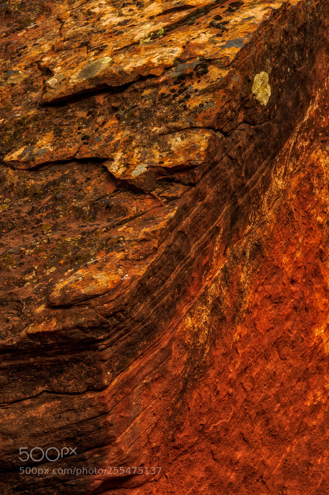 Pentax K-3 II sample photo. Rock - zion national photography
