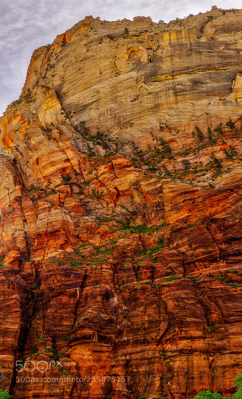 Pentax K-3 II sample photo. Zion national park photography