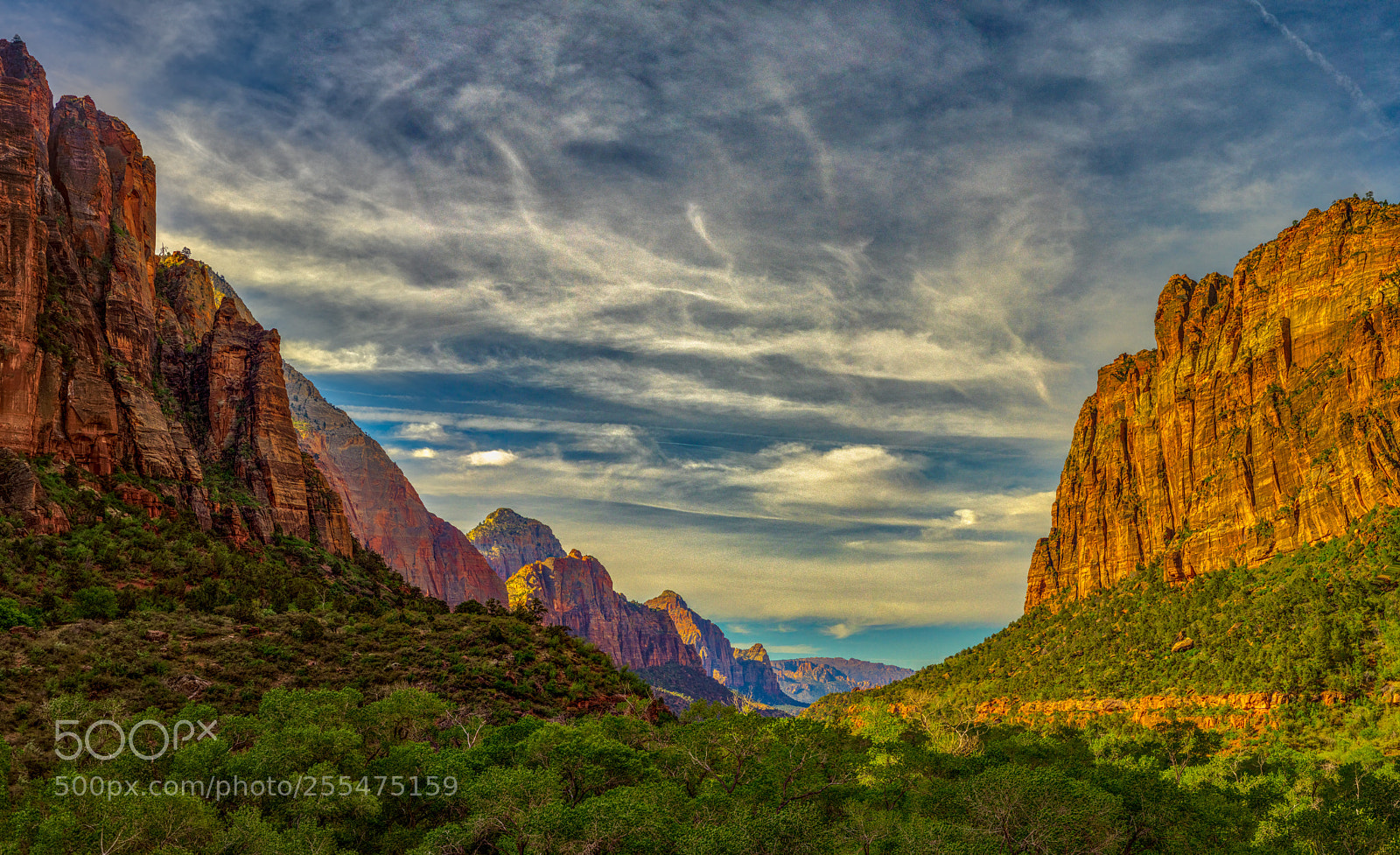 Pentax K-3 II sample photo. Zion national park photography