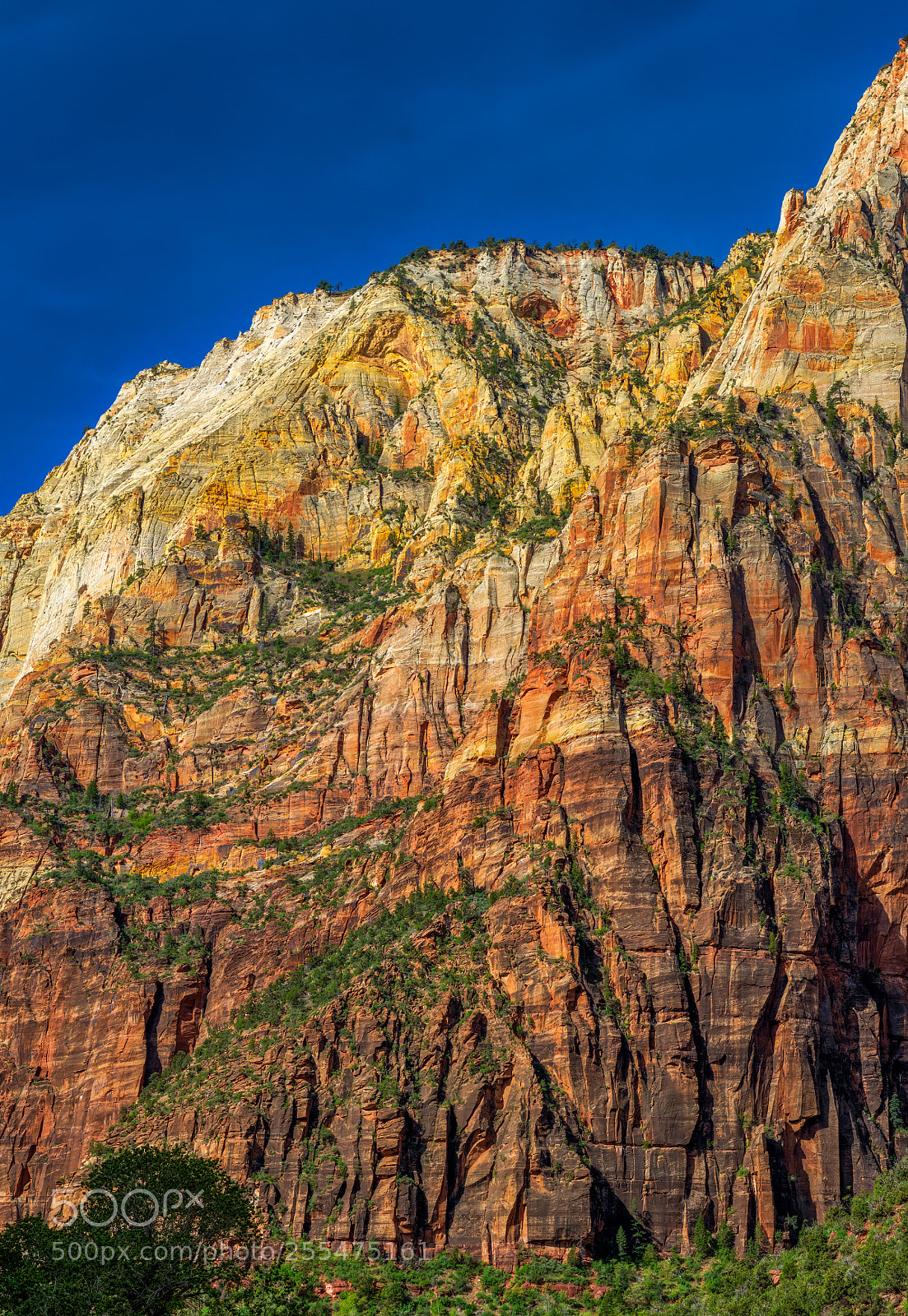 Pentax K-3 II sample photo. Zion national park photography