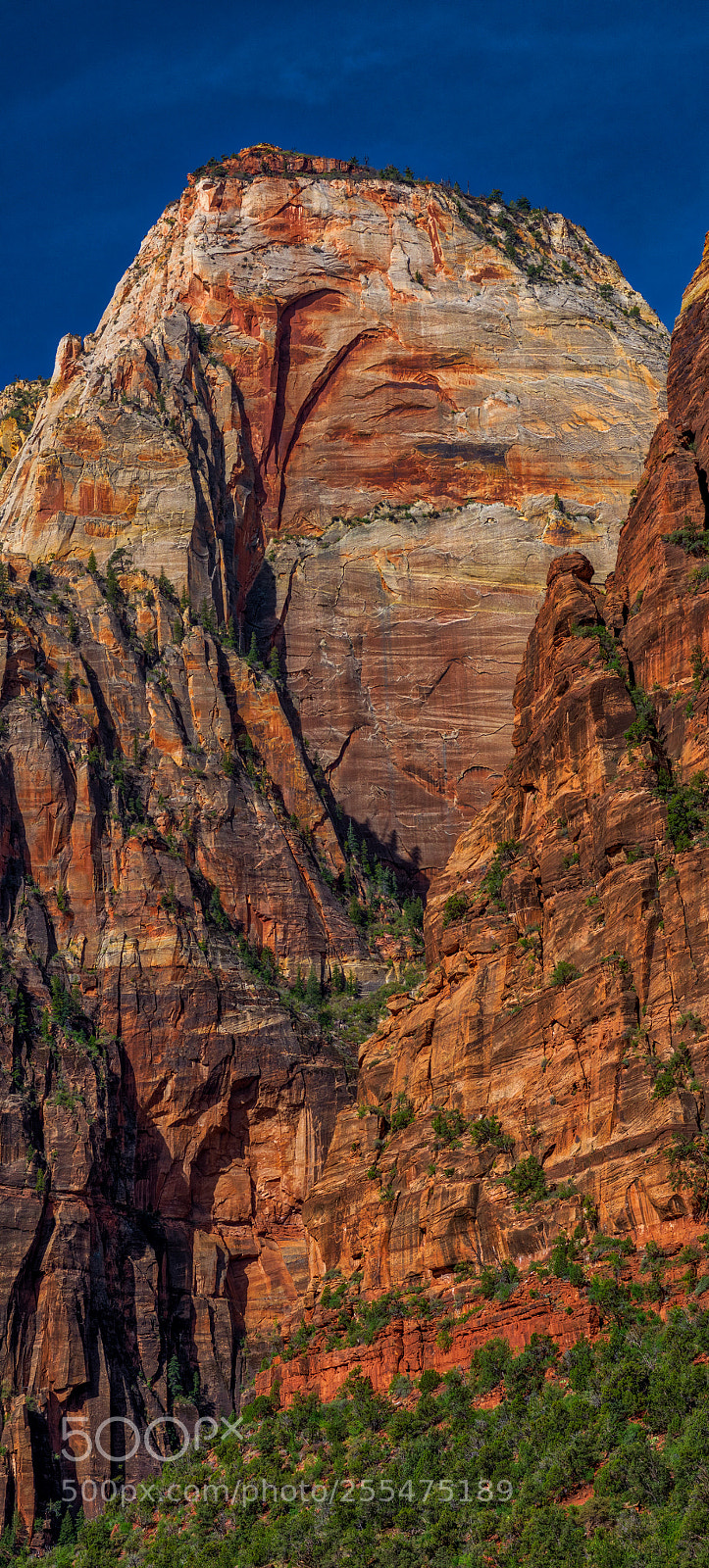 Pentax K-3 II sample photo. Zion national park photography