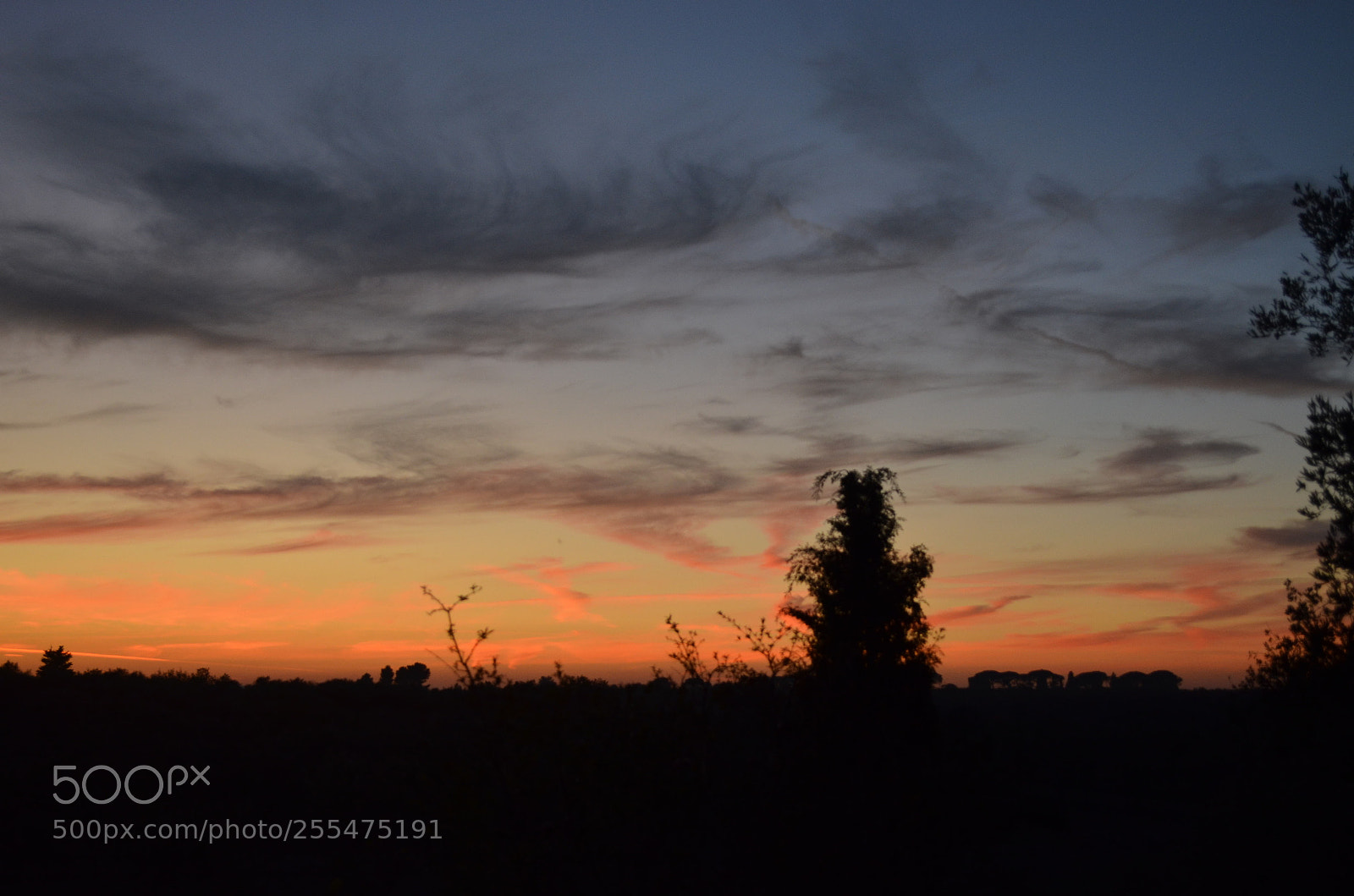 Nikon D5100 sample photo. Shades of sky photography