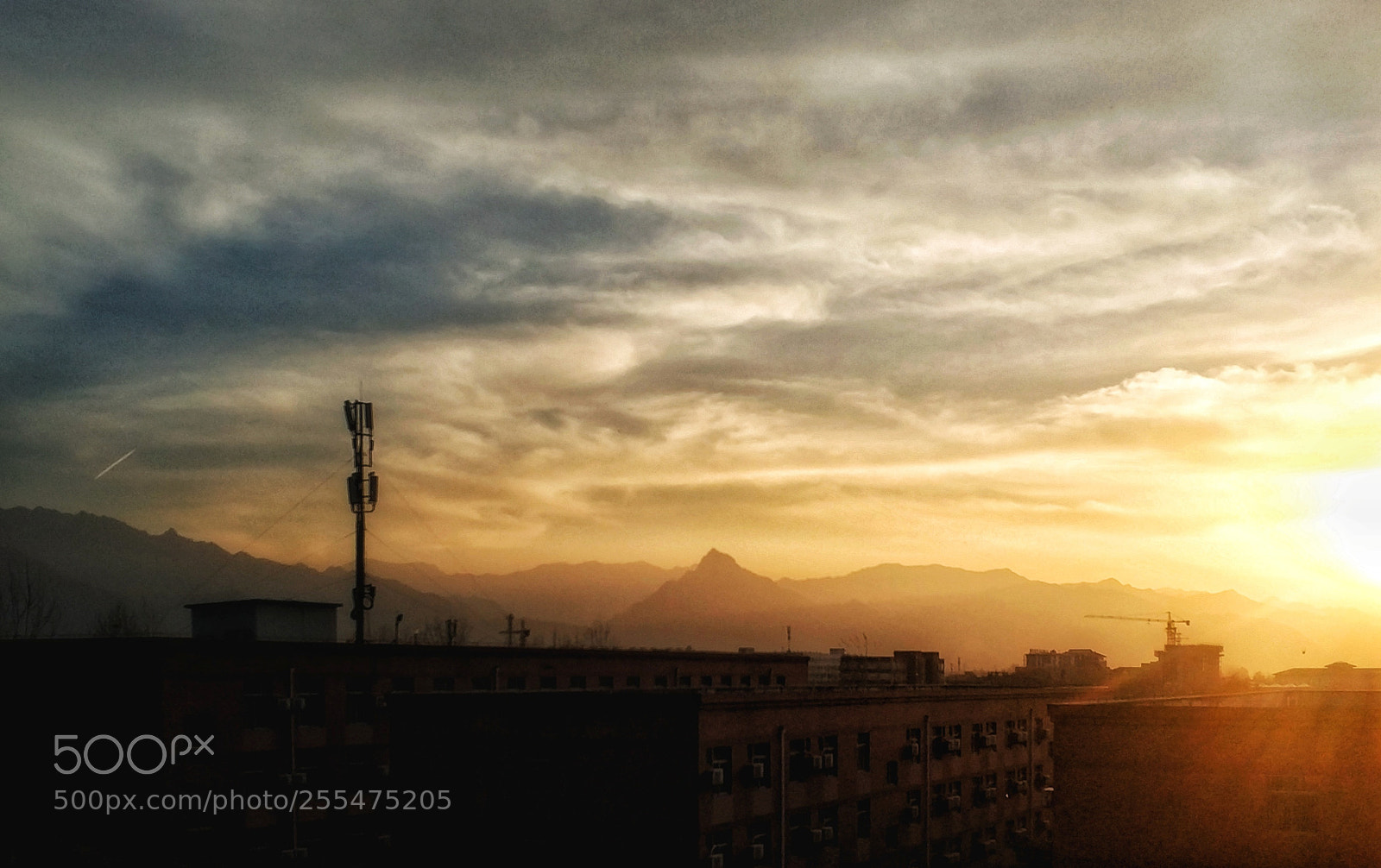 Xiaomi MI6 sample photo. Untitled photography
