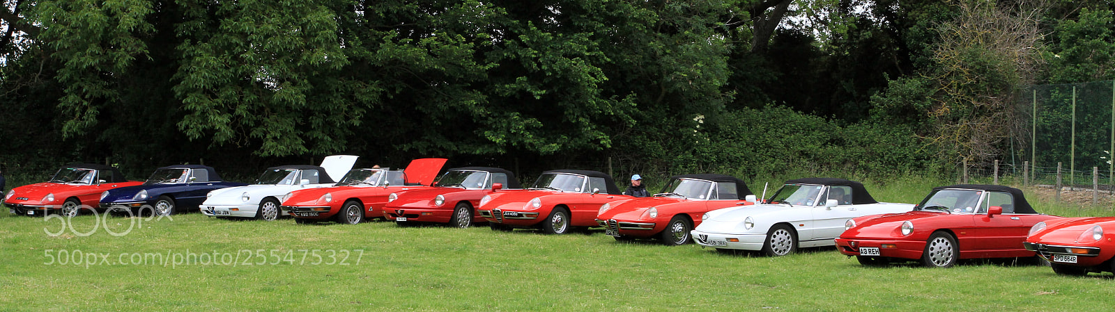 Canon EOS 7D sample photo. Cotswold alfa day 2013 photography
