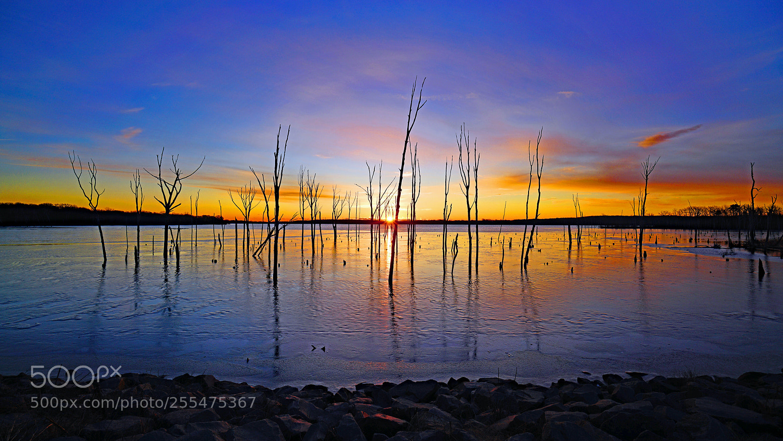 Sony a7R II sample photo. Sunrise over ice photography