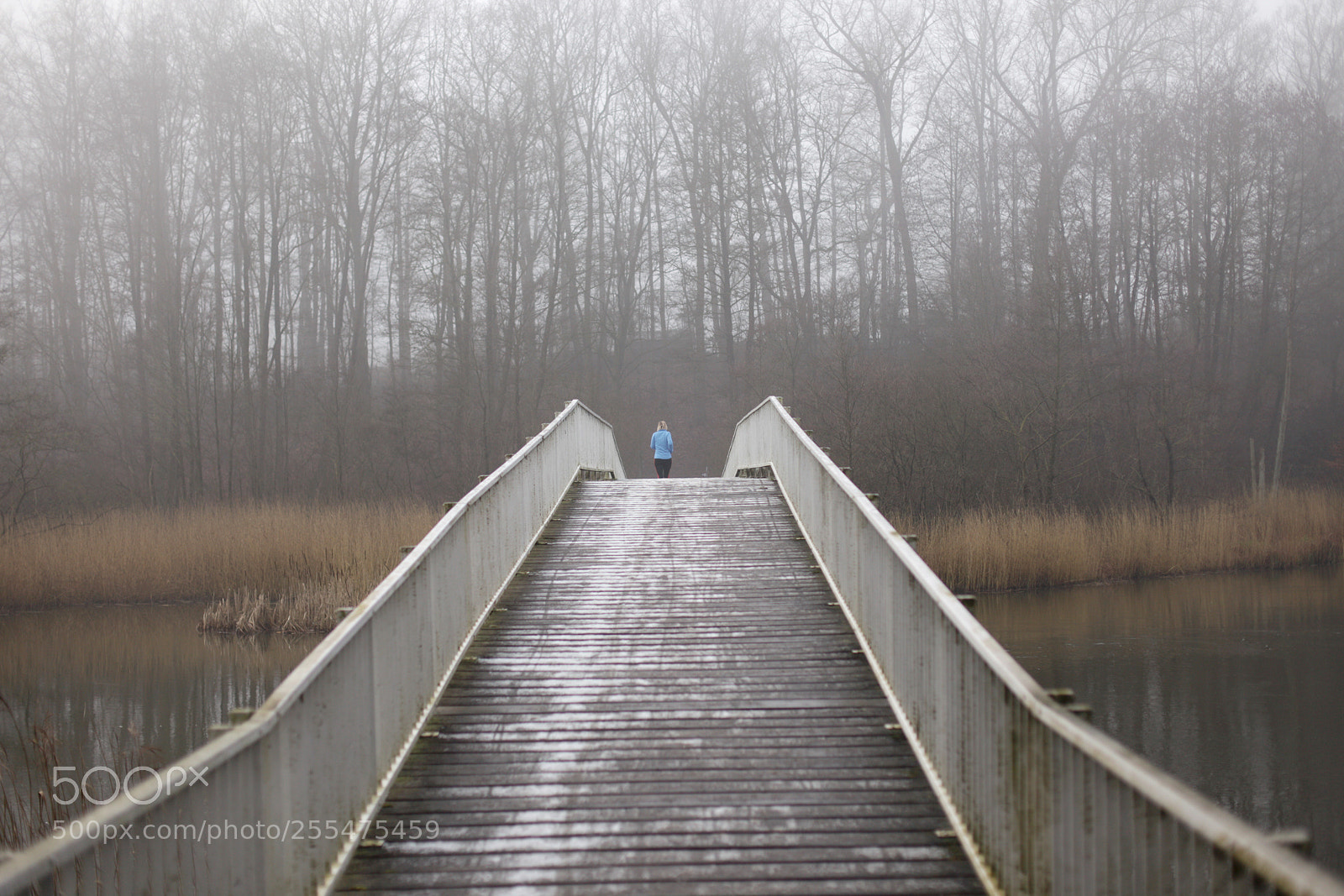 Canon EOS 5D Mark II sample photo. Jogging photography