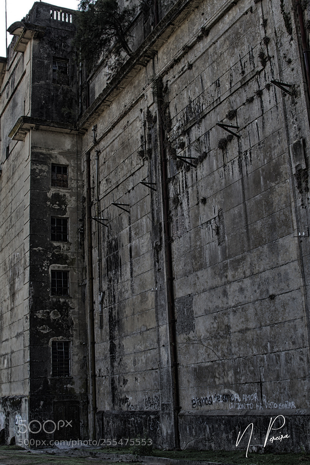 Canon EOS 7D sample photo. Img o photography