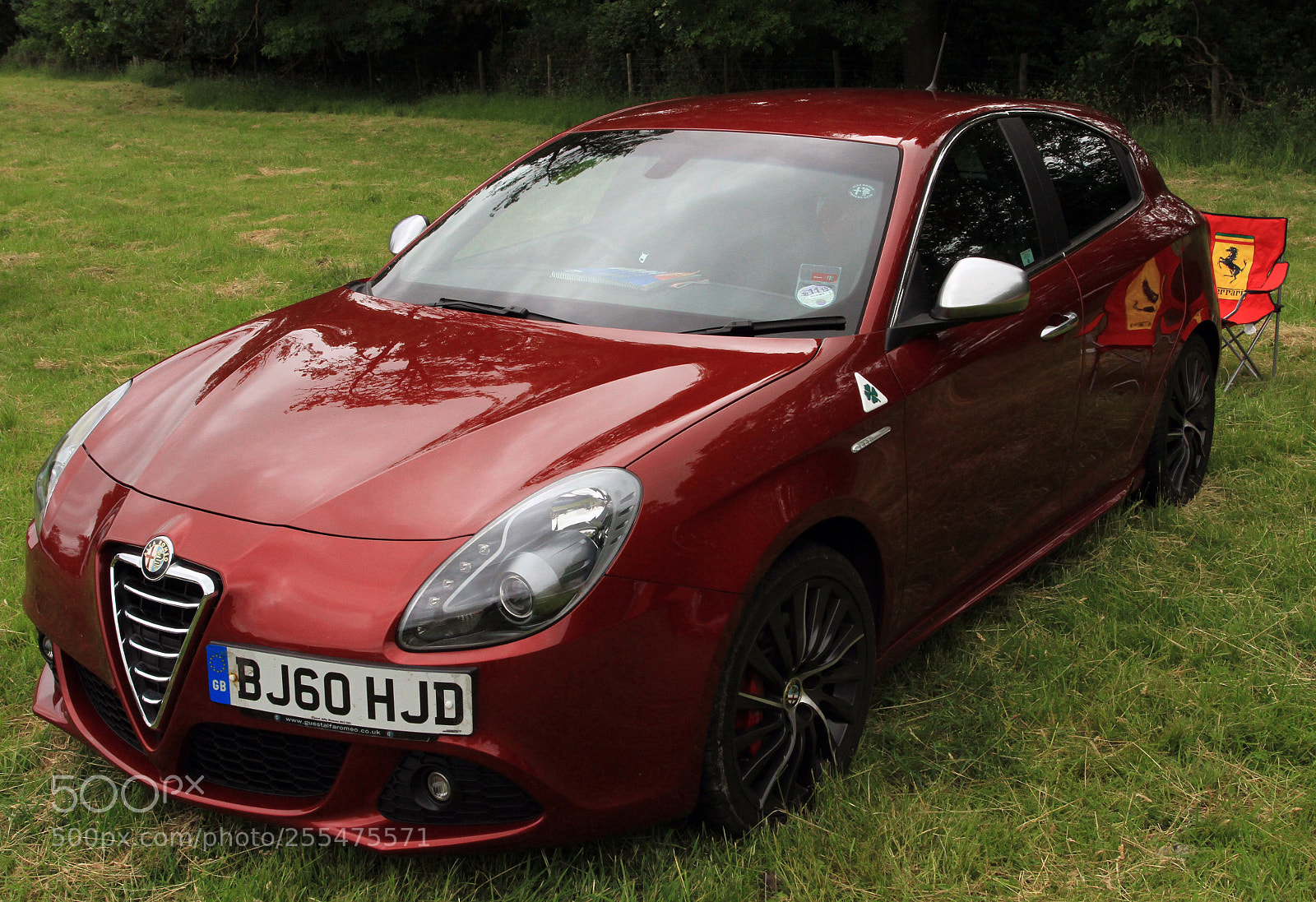 Canon EOS 7D sample photo. Cotswold alfa day 2013 photography