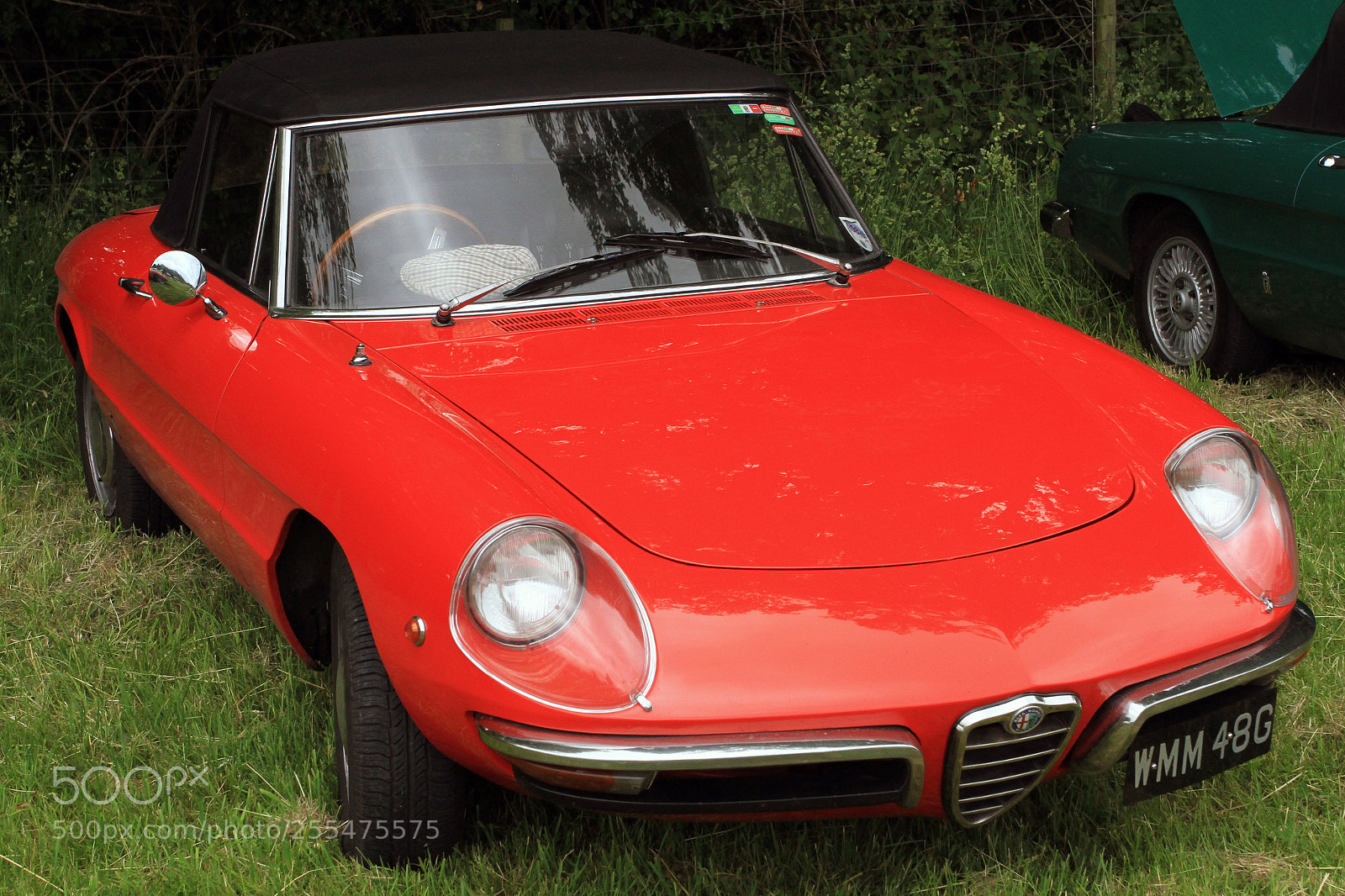 Canon EOS 7D sample photo. Cotswold alfa day 2013 photography
