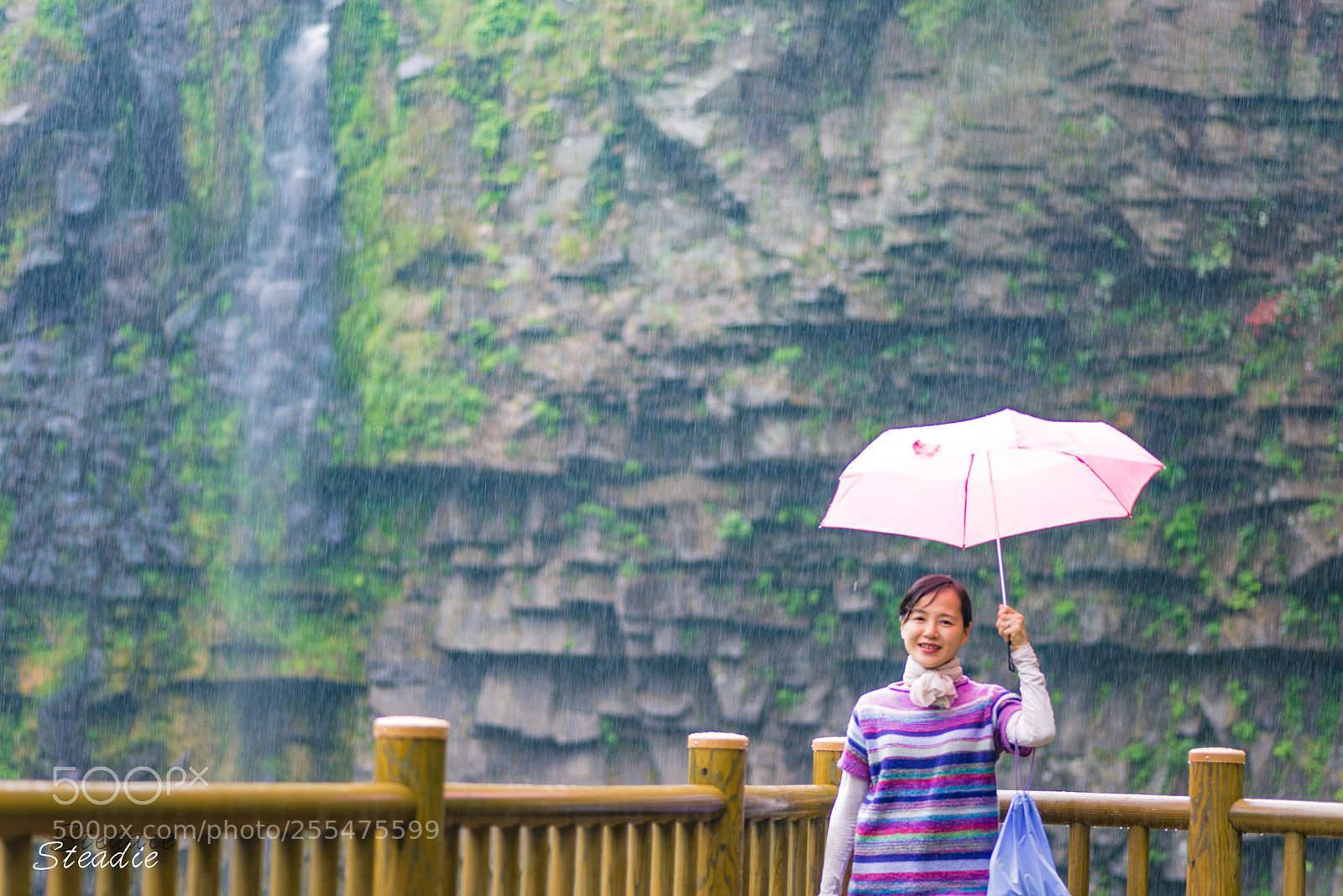 Nikon D610 sample photo. Std photography
