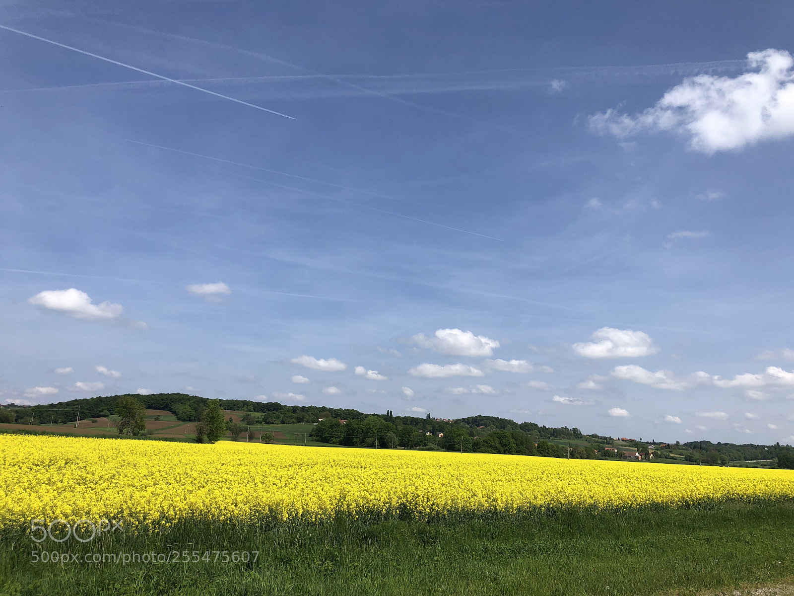Apple iPhone 8 sample photo. Field photography