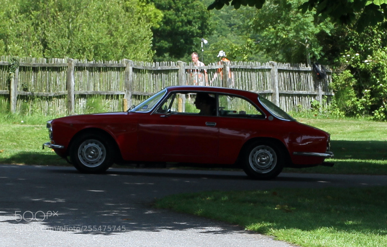 Canon EOS 7D sample photo. Simply alfa day at photography