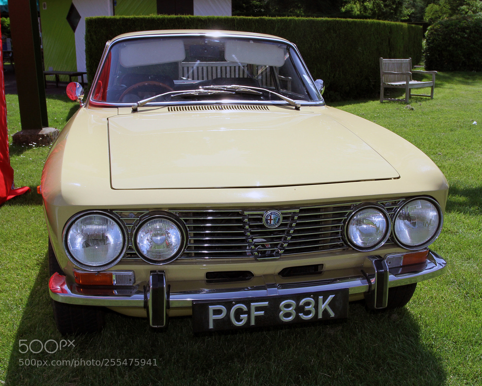 Canon EOS 7D sample photo. Simply alfa day at photography