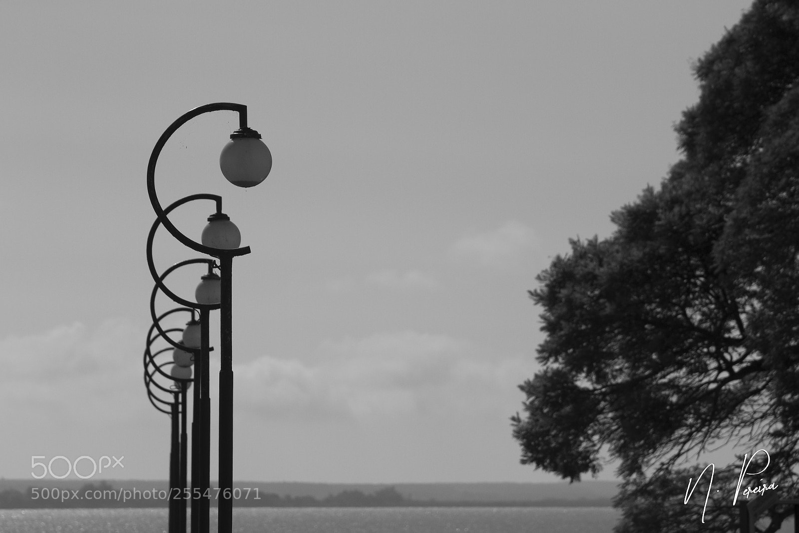 Canon EOS 7D sample photo. Img o photography