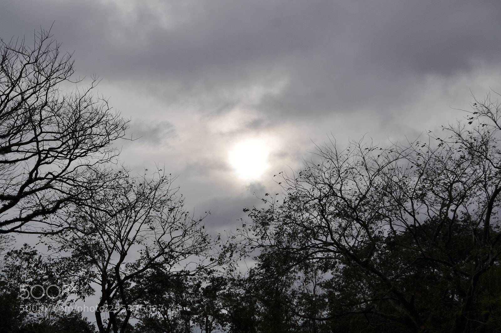Nikon D5000 sample photo. Smile photography