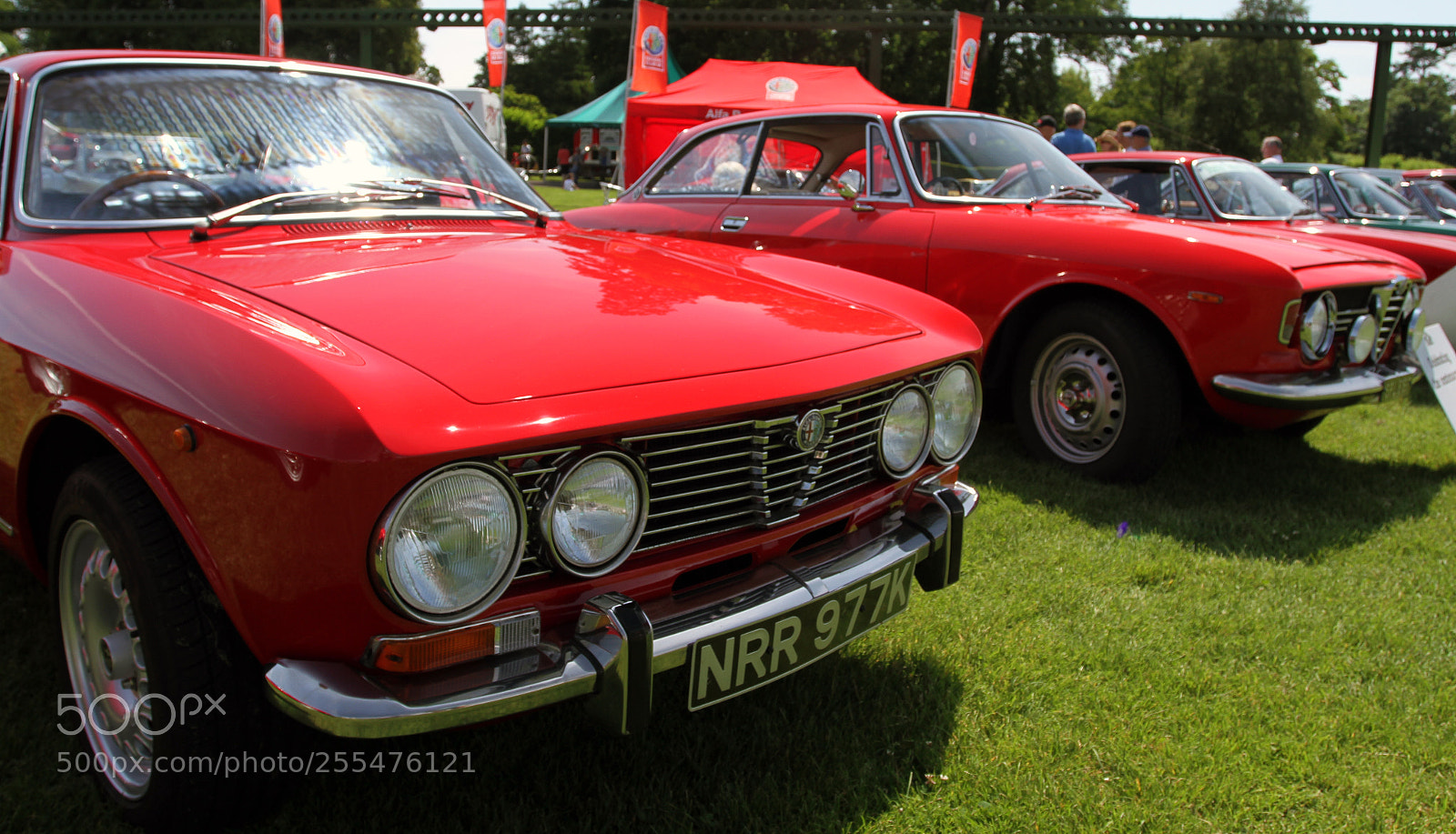 Canon EOS 7D sample photo. Simply alfa day at photography