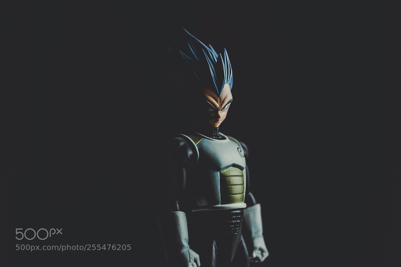 Nikon D800 sample photo. Vegeta v2 photography