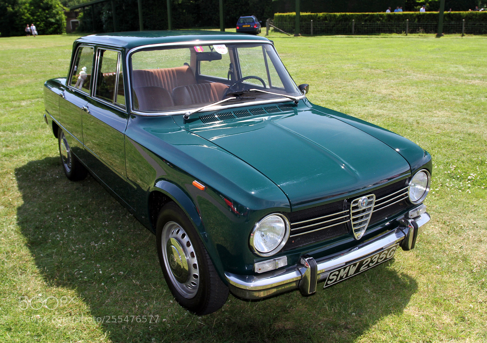 Canon EOS 7D sample photo. Simply alfa day at photography