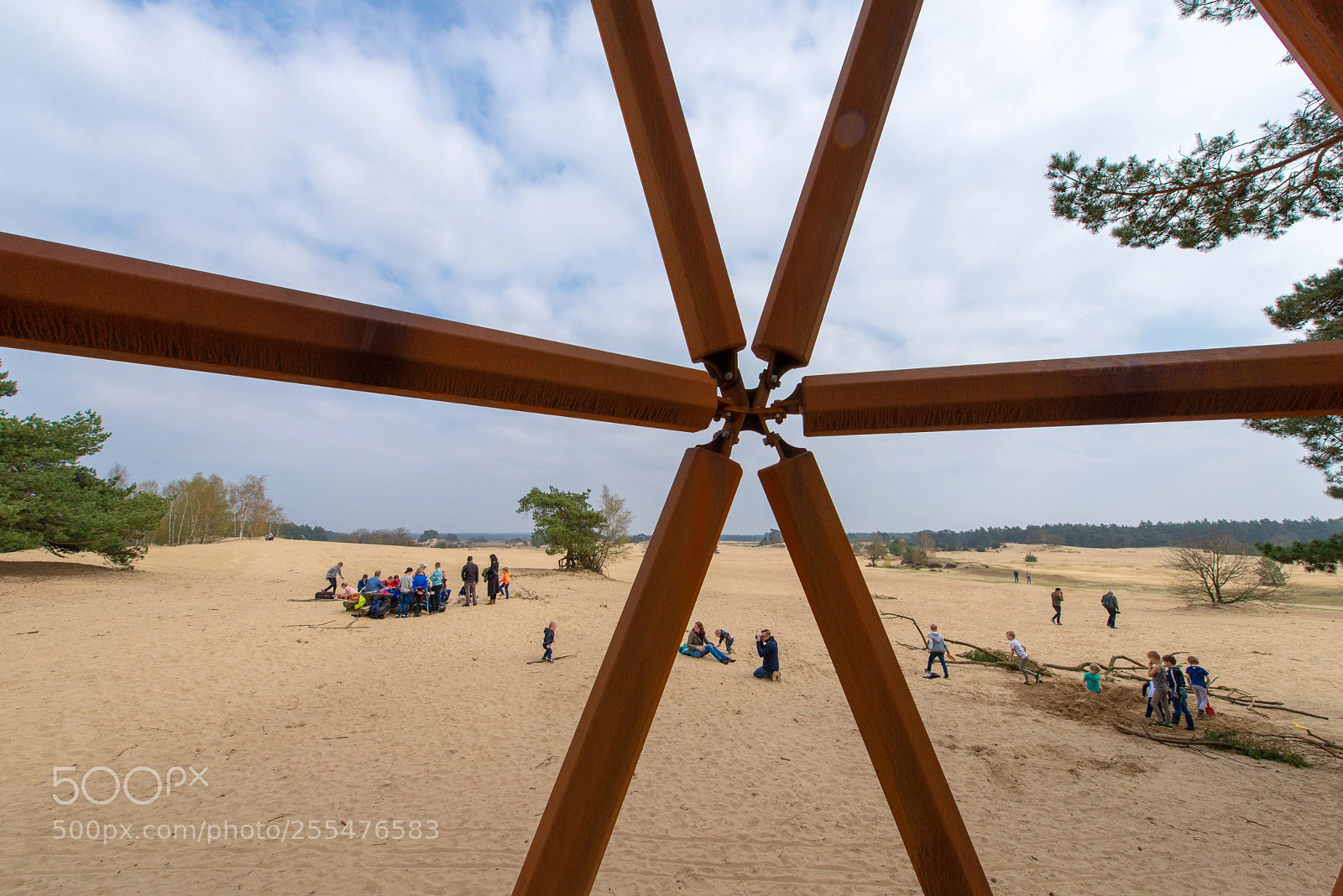 Nikon D610 sample photo. Meanwhile at kootwijkerzand photography