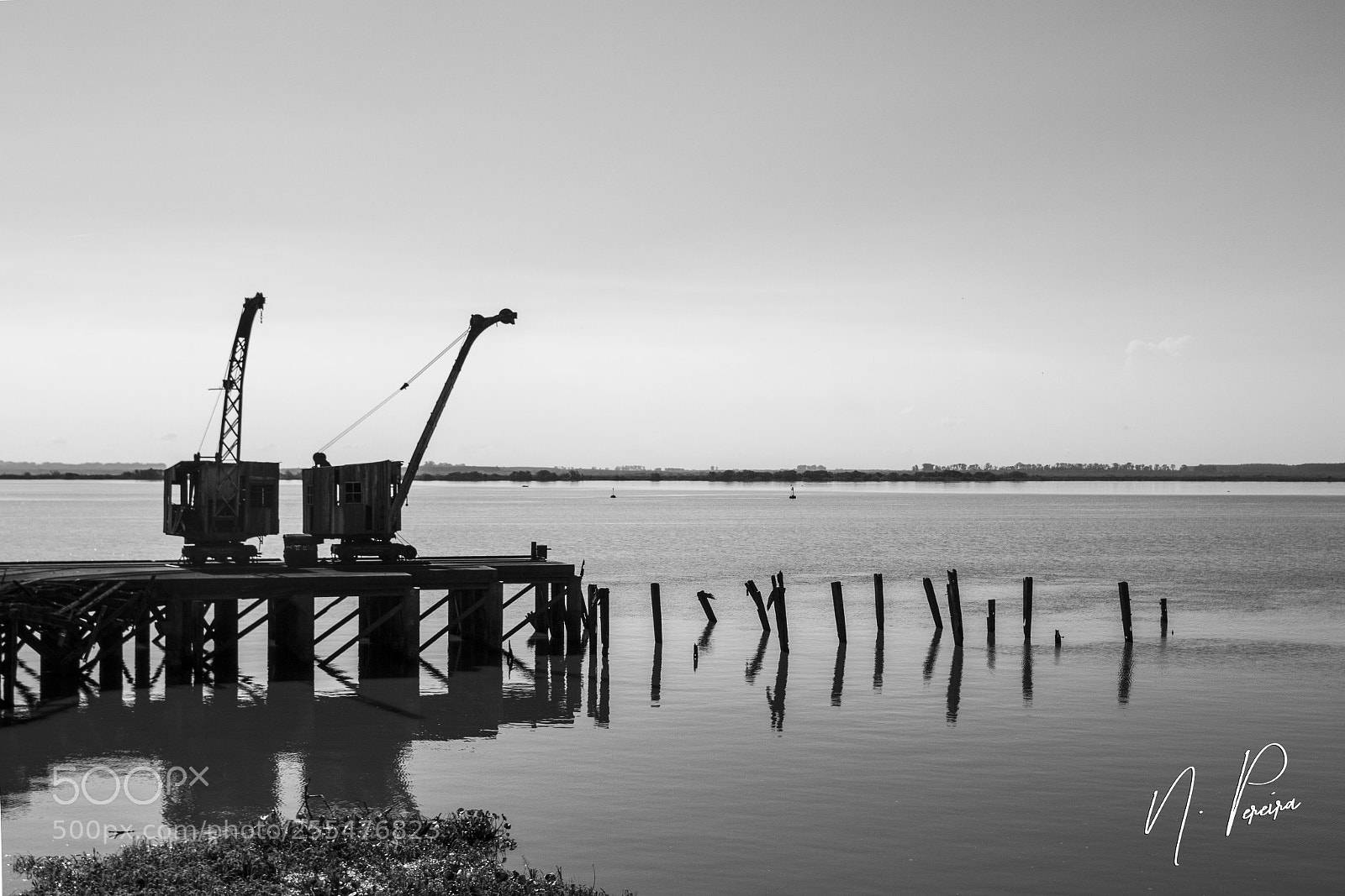 Canon EOS 7D sample photo. Img o photography