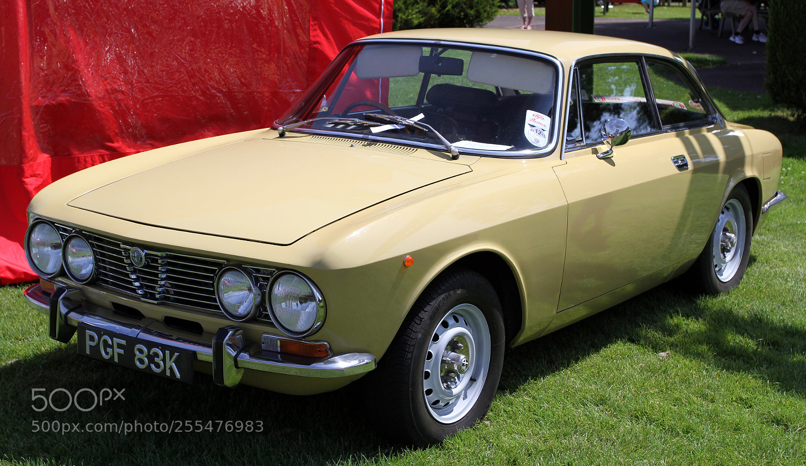 Canon EOS 7D sample photo. Simply alfa day at photography