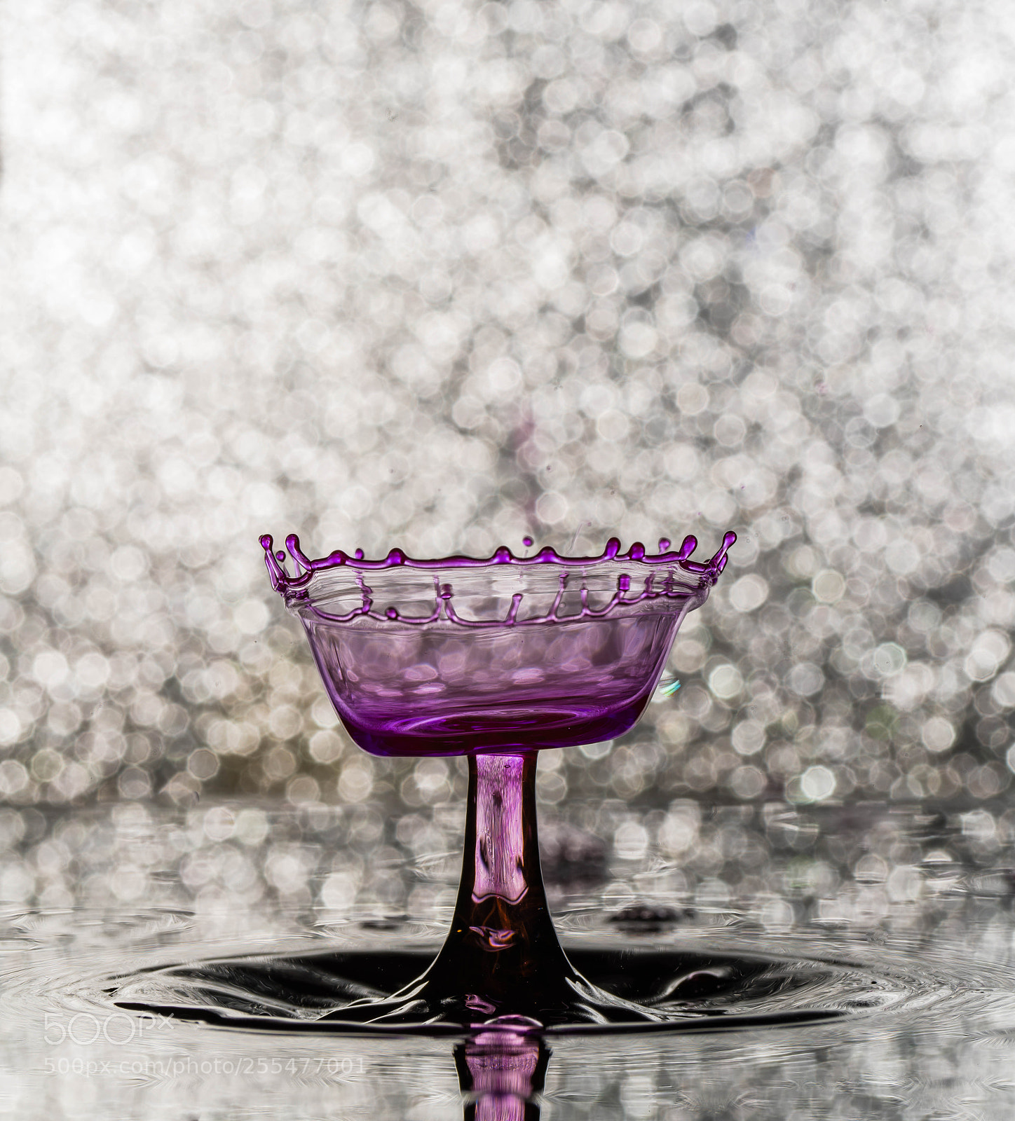 Sony a7R III sample photo. Bokeh photography