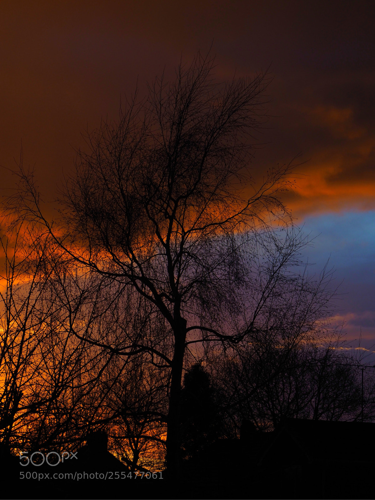 Olympus OM-D E-M1 Mark II sample photo. Sunset photography