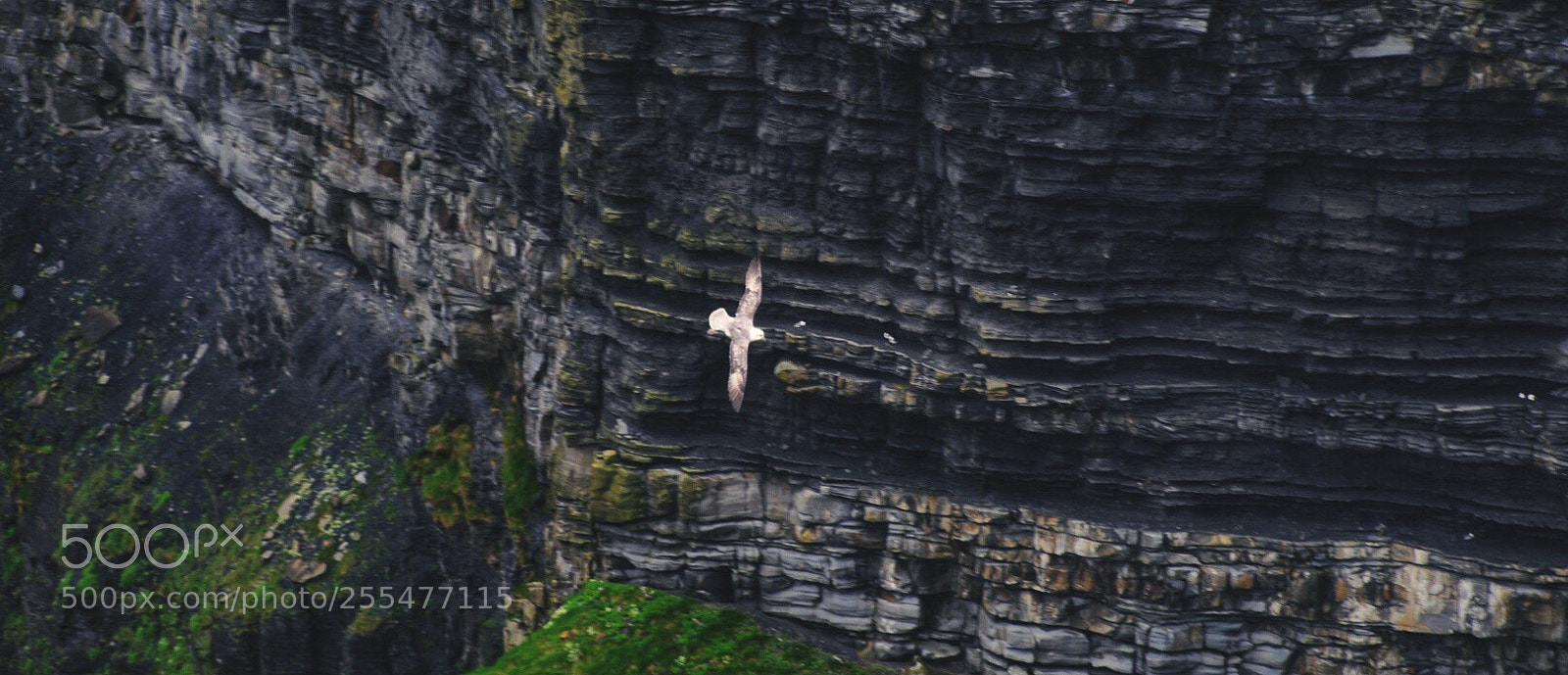 Sony a7R sample photo. Only one who knows photography