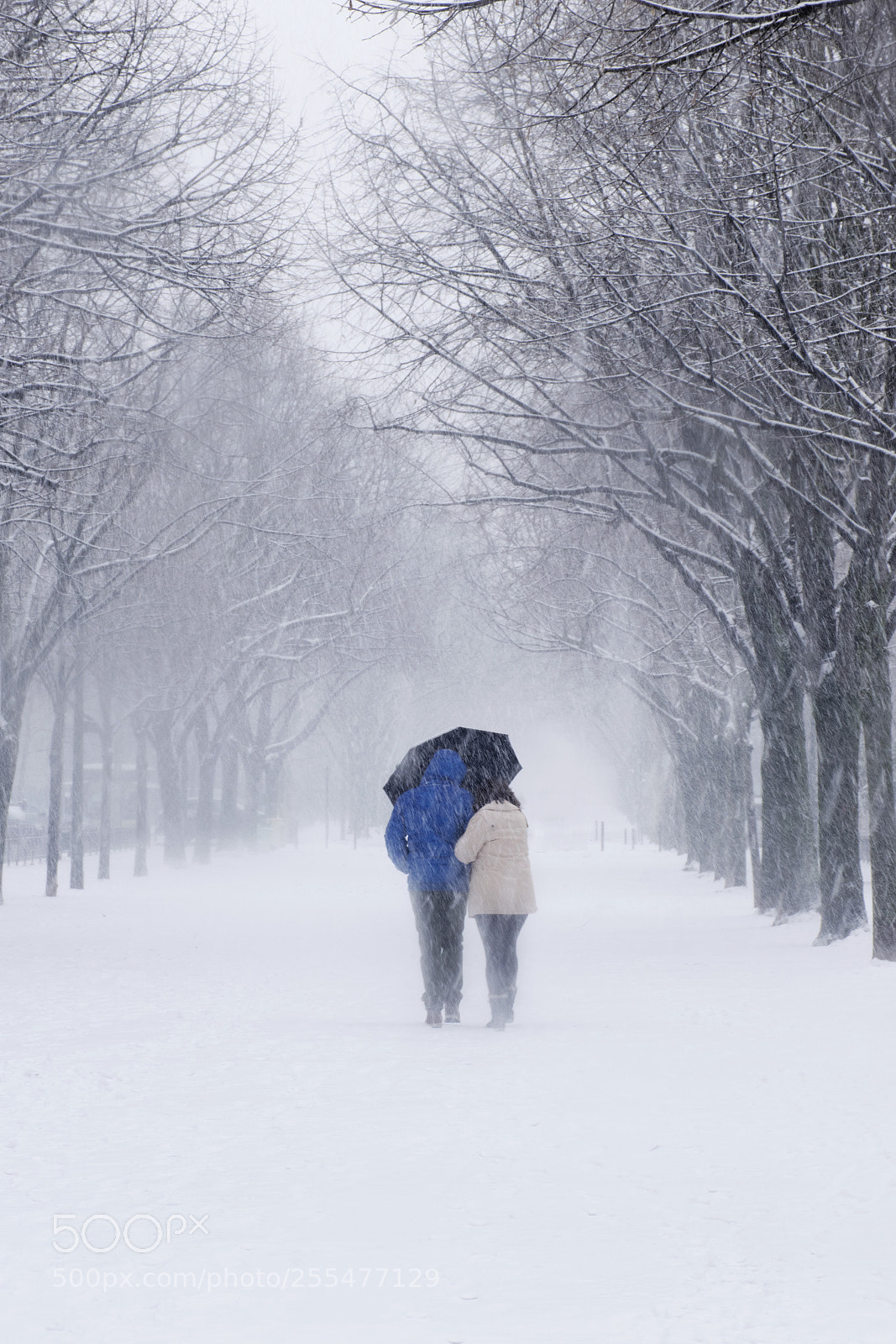 Nikon D5500 sample photo. Neige photography