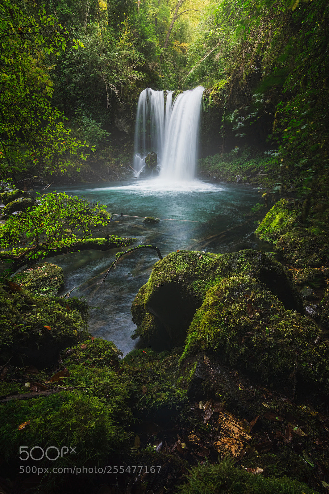 Canon EOS 6D sample photo. Saltos caren - salto photography