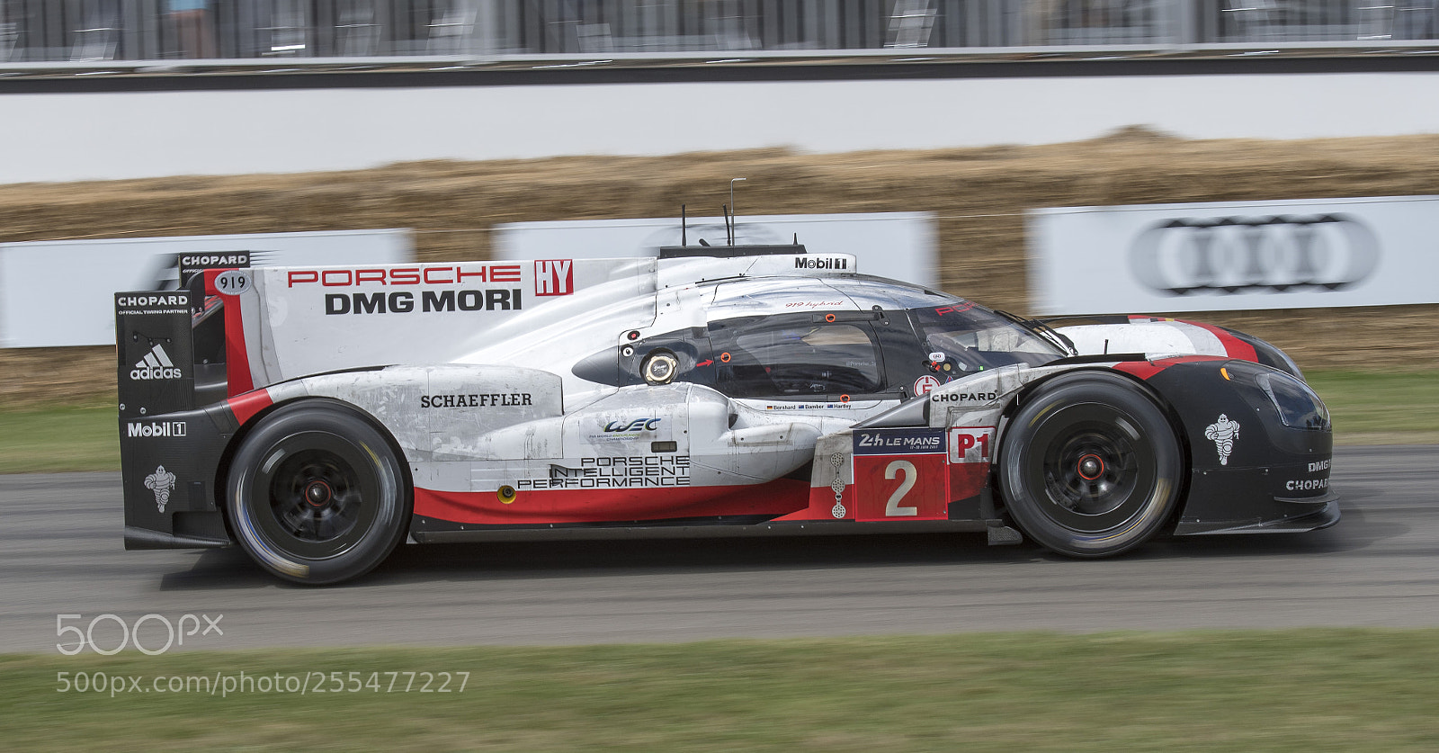 Nikon D500 sample photo. Goodwood festival of speed photography