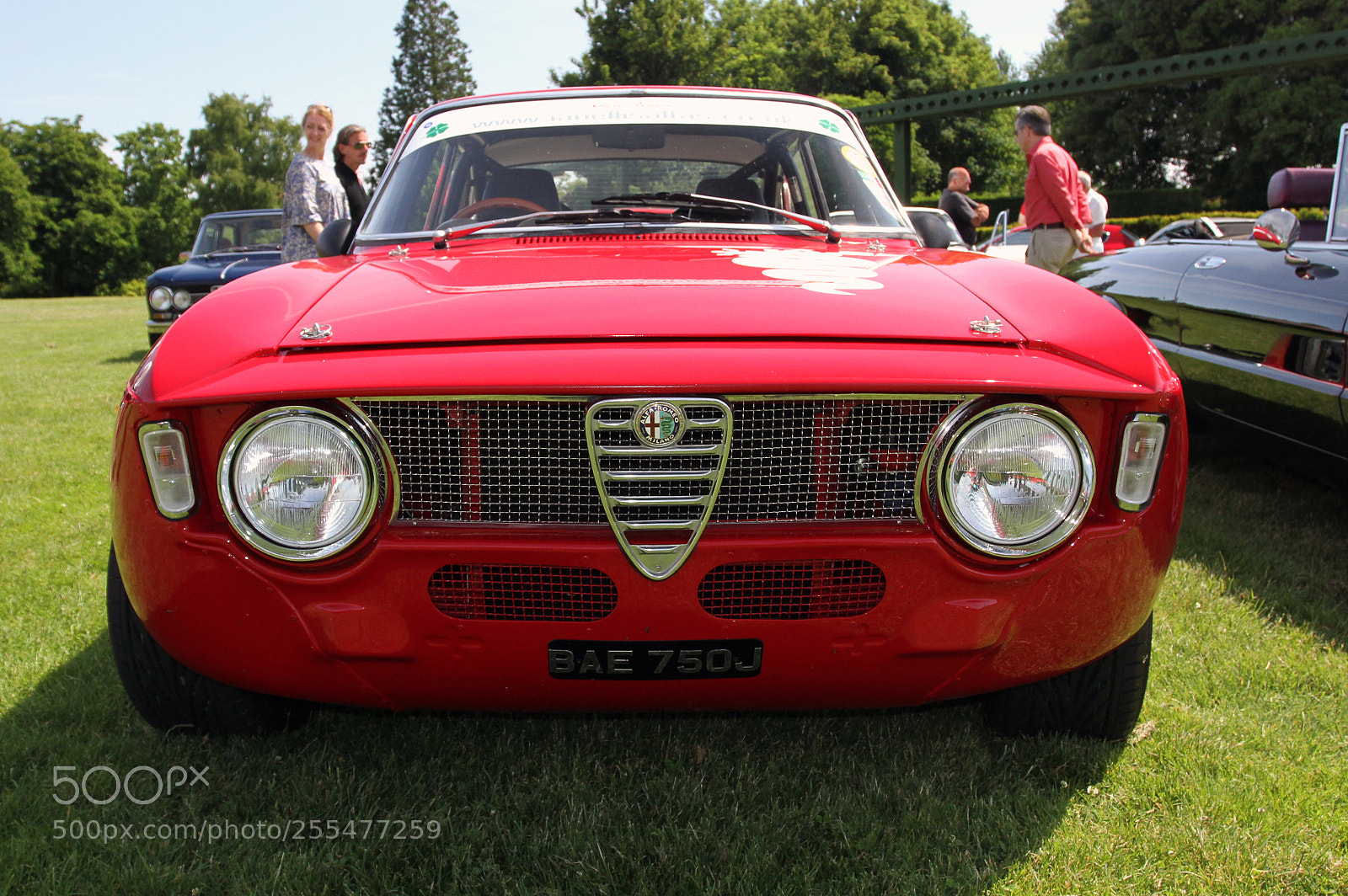 Canon EOS 7D sample photo. Simply alfa day at photography