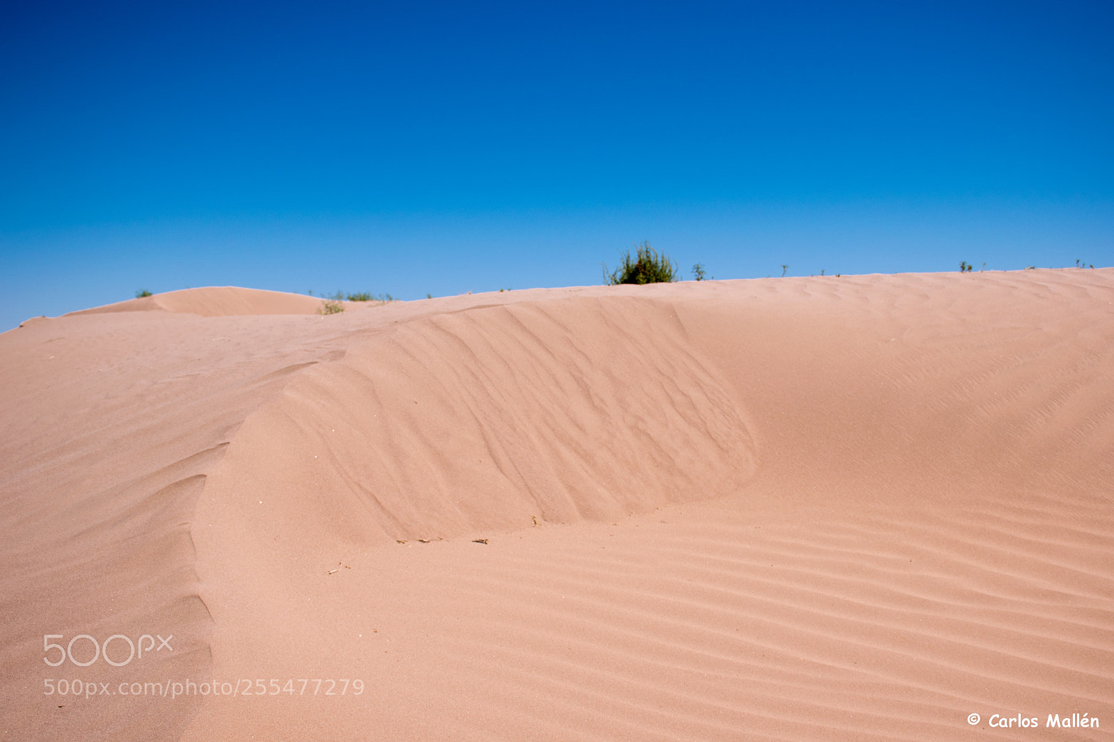 Nikon D5500 sample photo. Dunas de bilbao, viesca photography