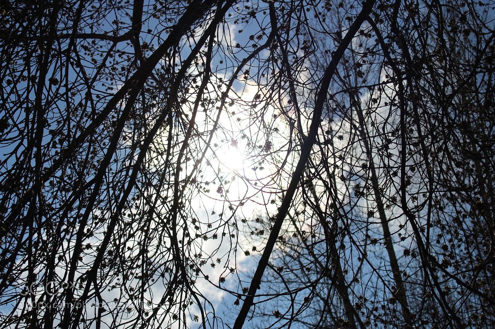 Canon EOS 1300D (EOS Rebel T6 / EOS Kiss X80) sample photo. Img photography
