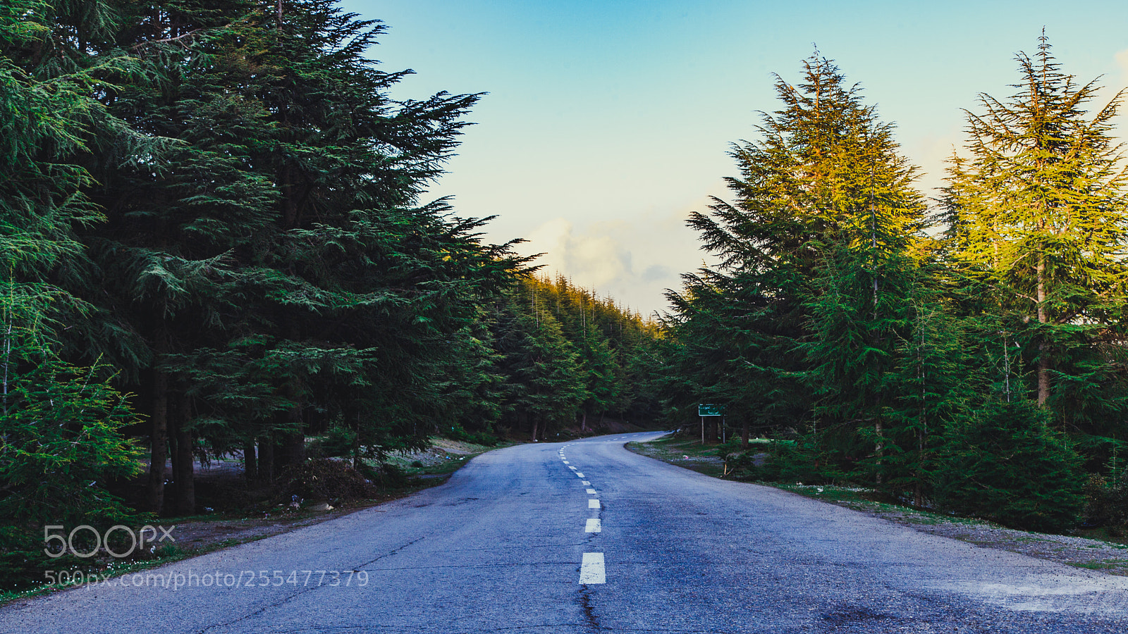 Canon EOS 5D Mark II sample photo. Road photography