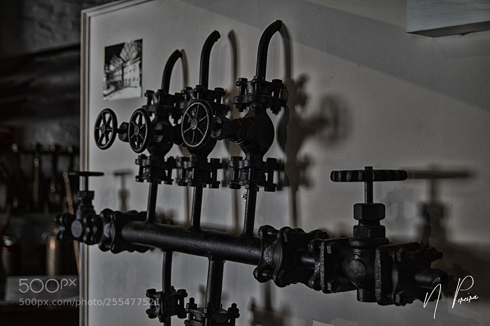 Canon EOS 7D sample photo. Img o photography