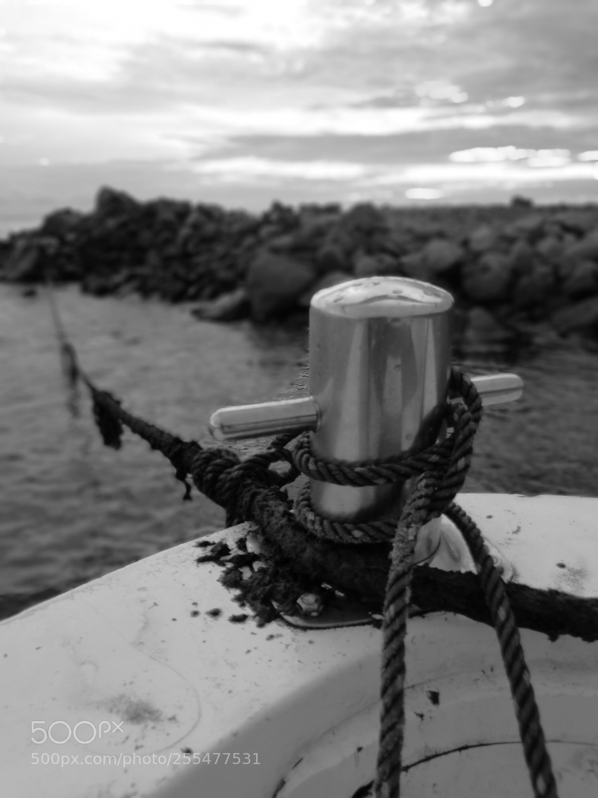 HUAWEI P10 Plus sample photo. Anchored photography