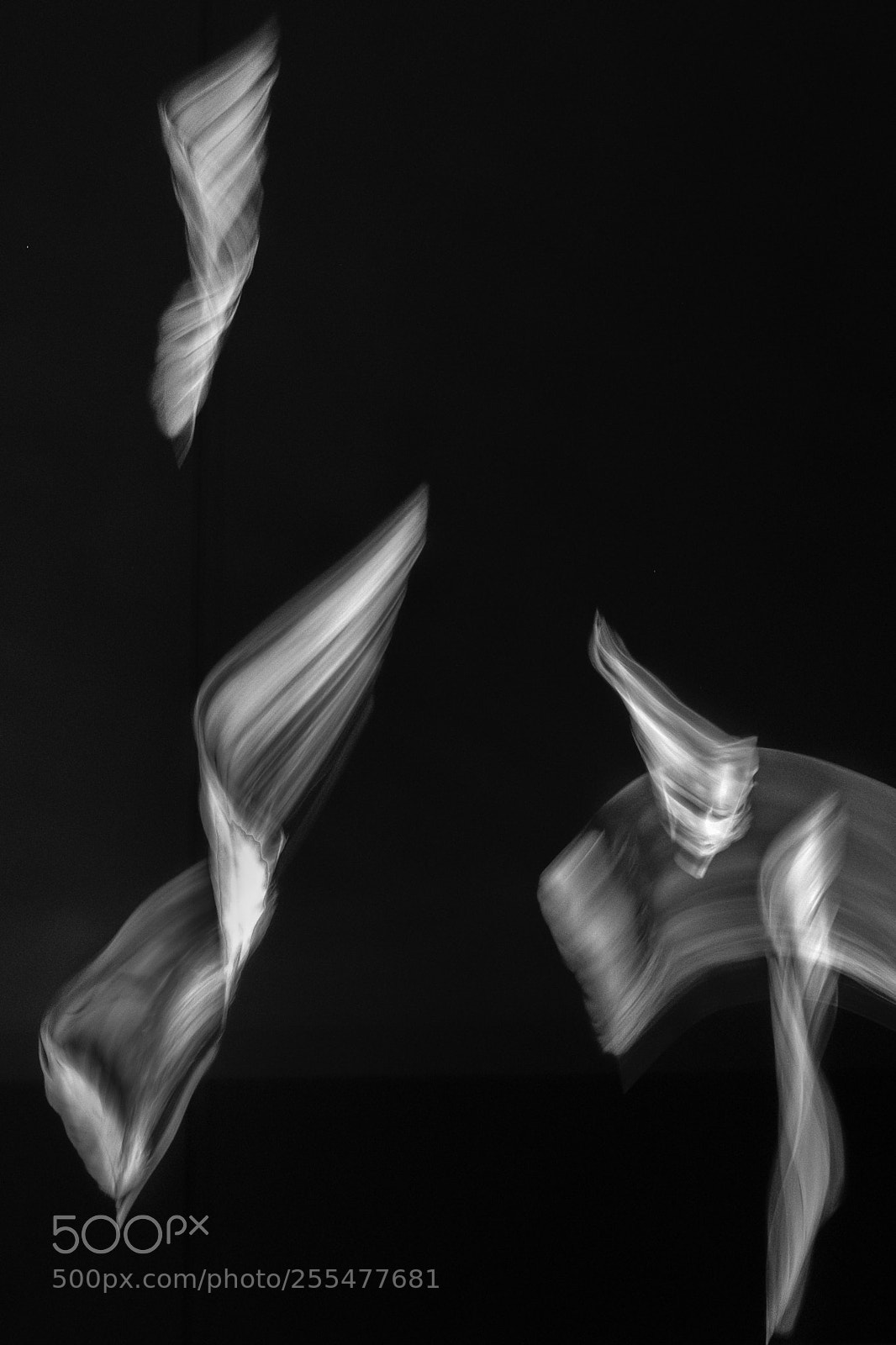 Fujifilm X-Pro2 sample photo. White feather in the photography