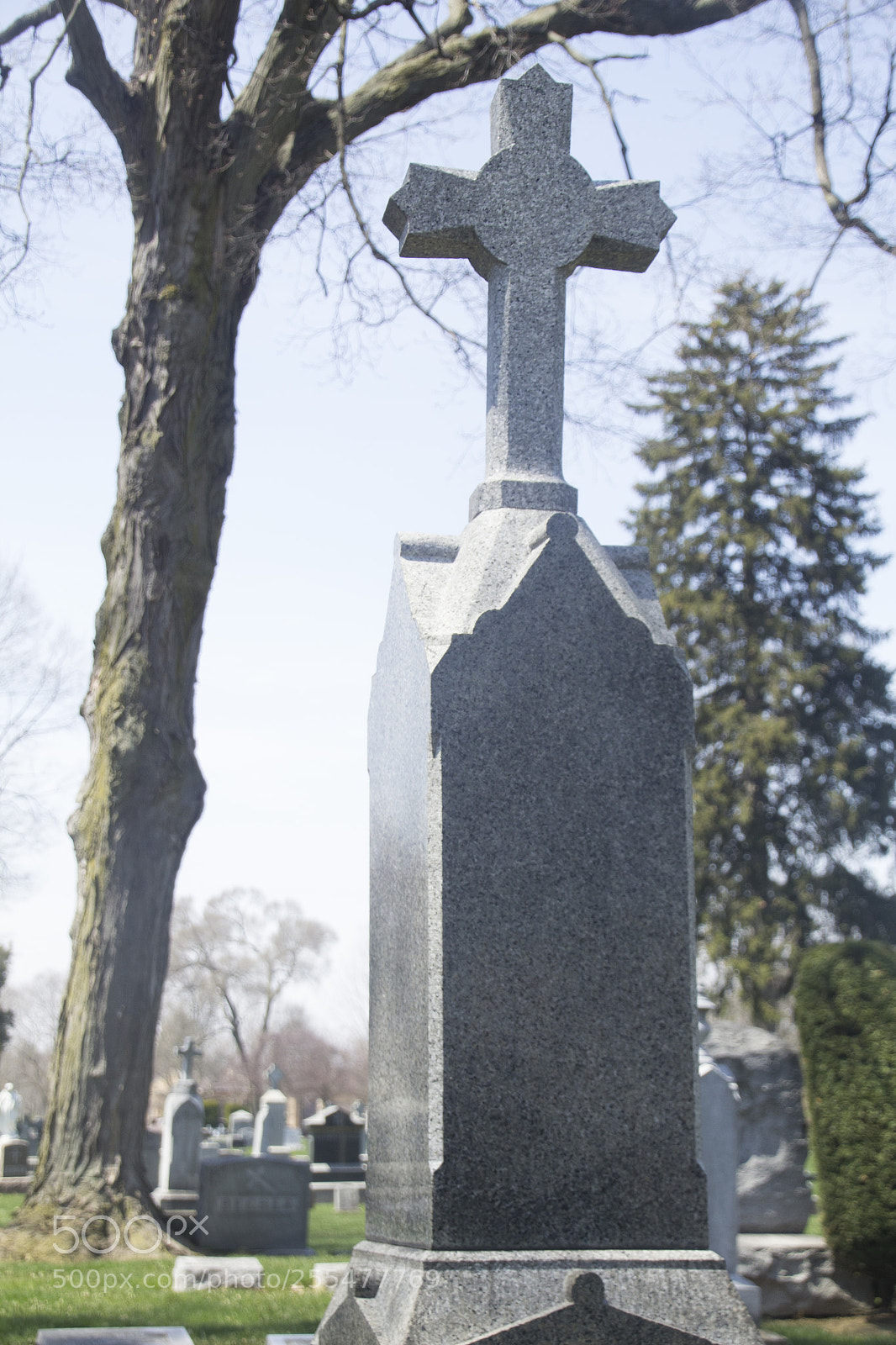Canon EOS 1200D (EOS Rebel T5 / EOS Kiss X70 / EOS Hi) sample photo. Tree and grave stone. photography