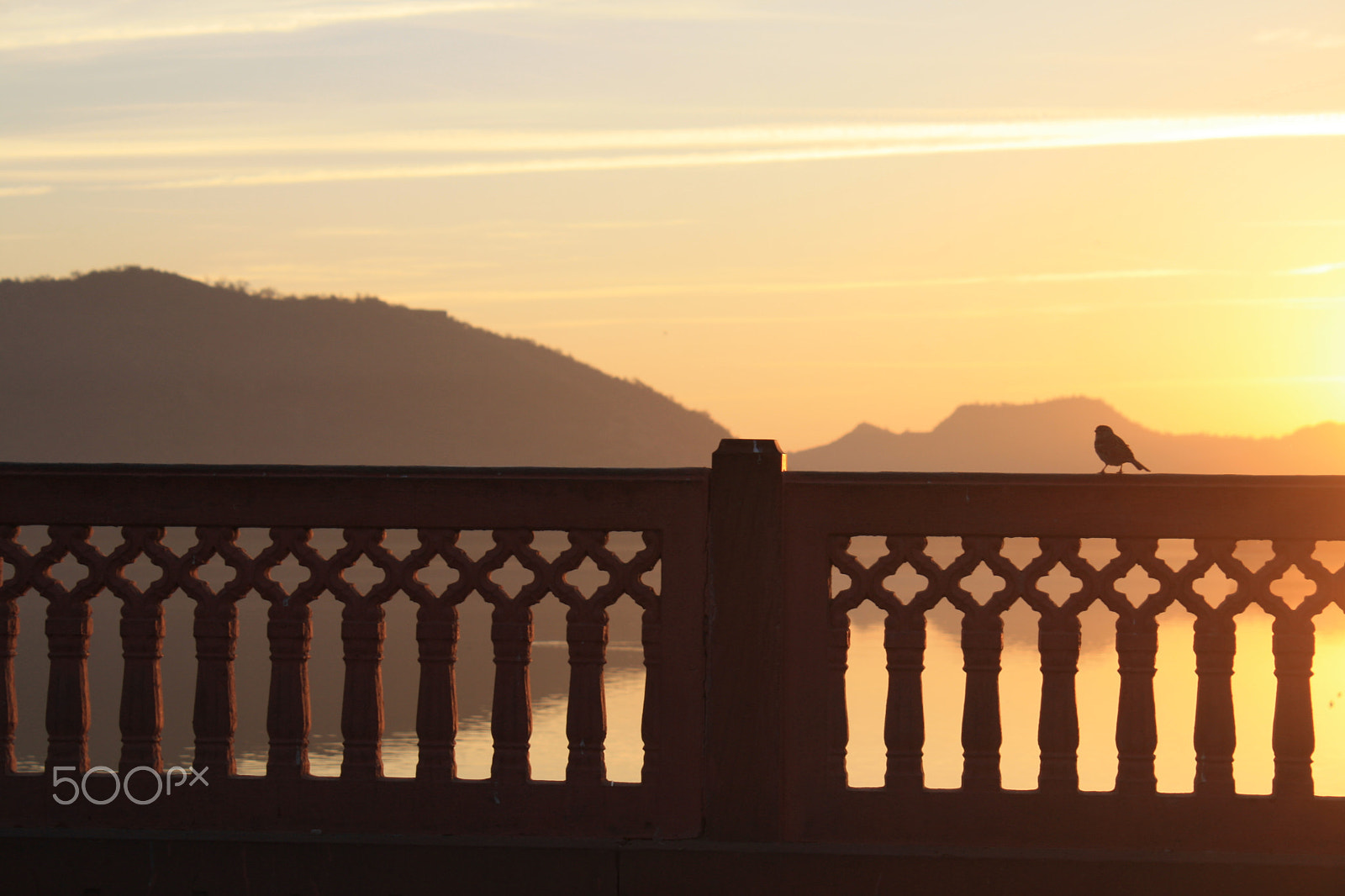 Canon EOS 1000D (EOS Digital Rebel XS / EOS Kiss F) sample photo. Sparrow sitting beside sunrise photography