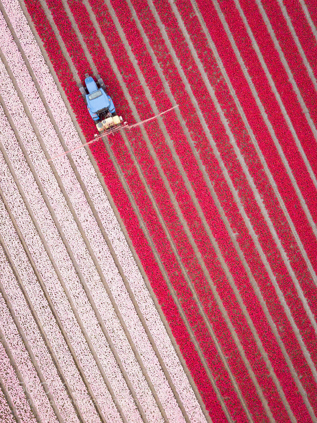 DJI FC220 sample photo. Untitled photography
