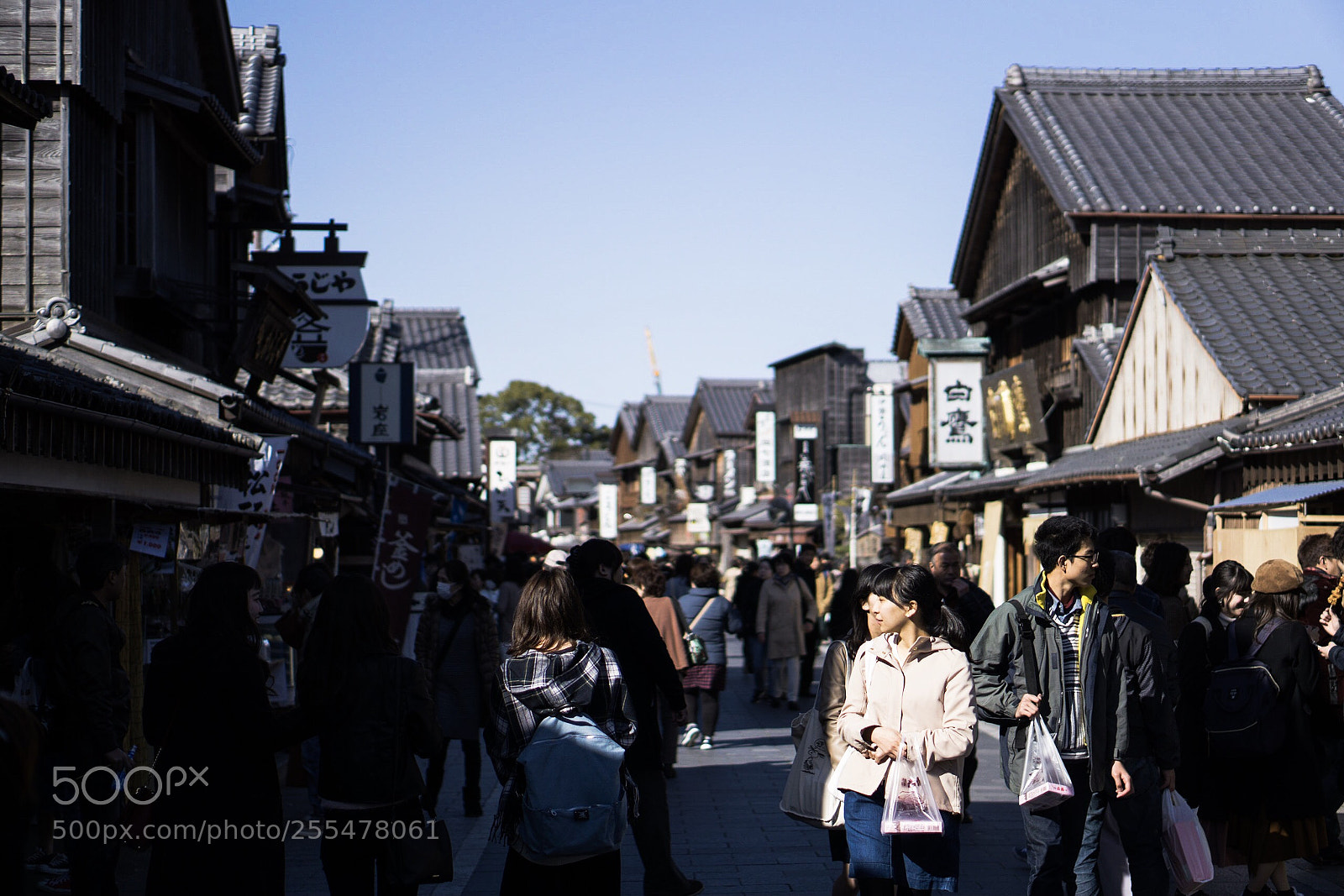 Sony a6000 sample photo. Focus→japan  photography