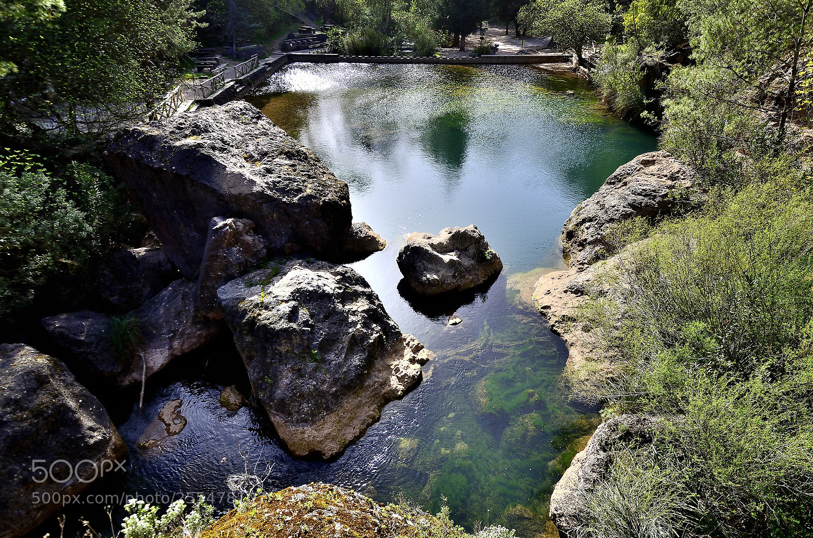 Nikon D7000 sample photo. Untitled photography