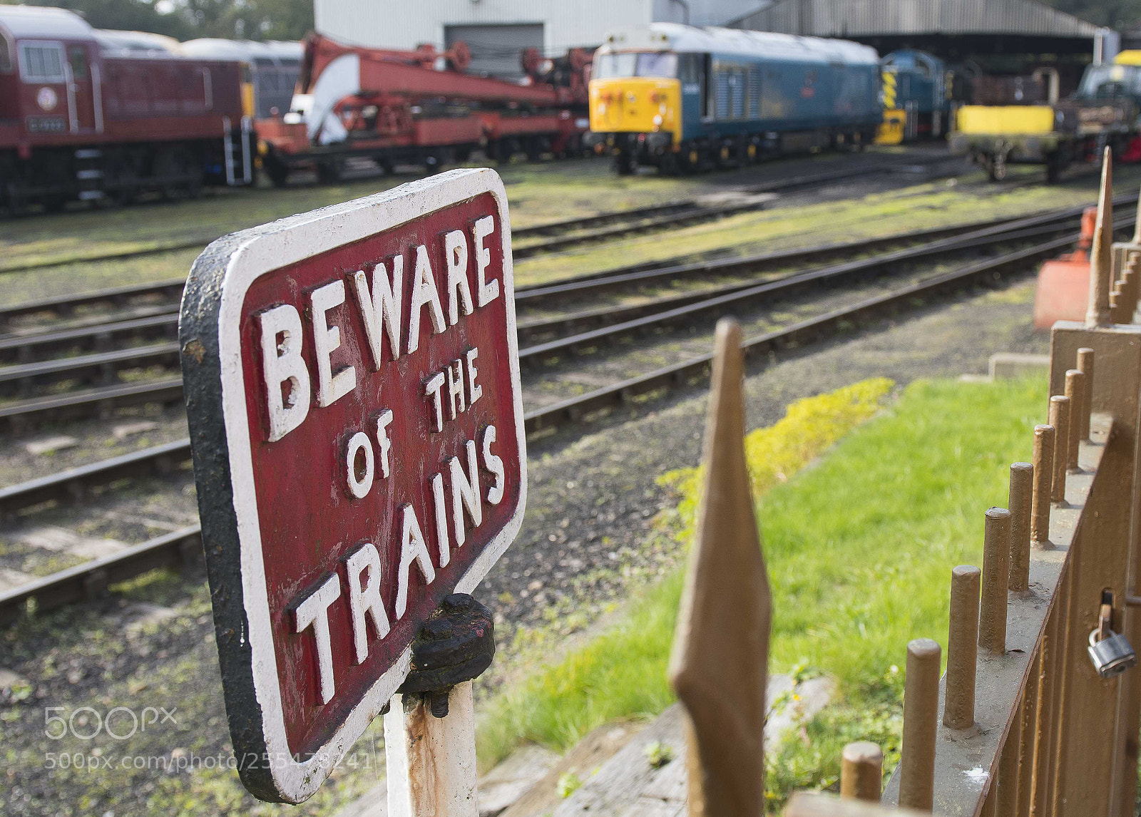 Nikon D500 sample photo. Nene valley railway photography
