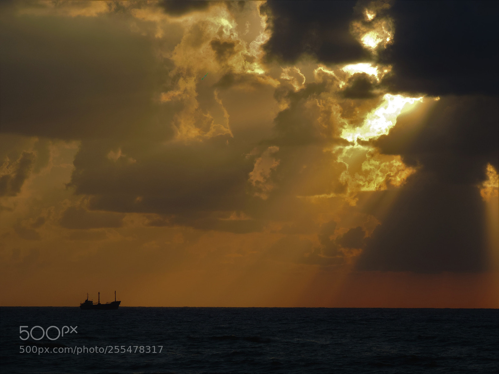 Nikon Coolpix P520 sample photo. Light of sea photography