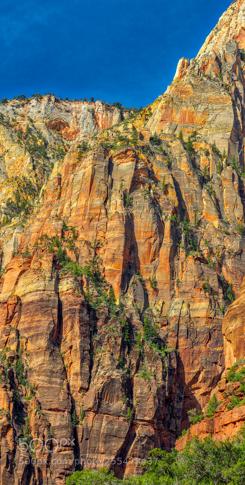 Pentax K-3 II sample photo. Zion national park photography