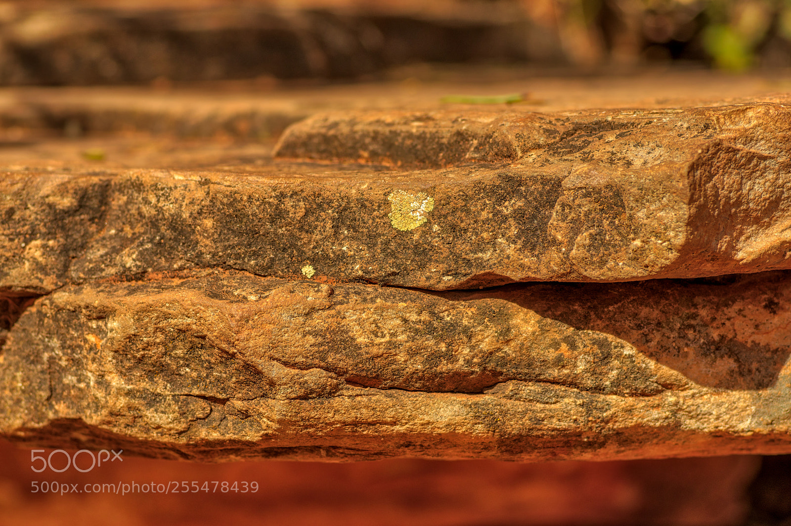 Pentax K-3 II sample photo. Zion national park photography